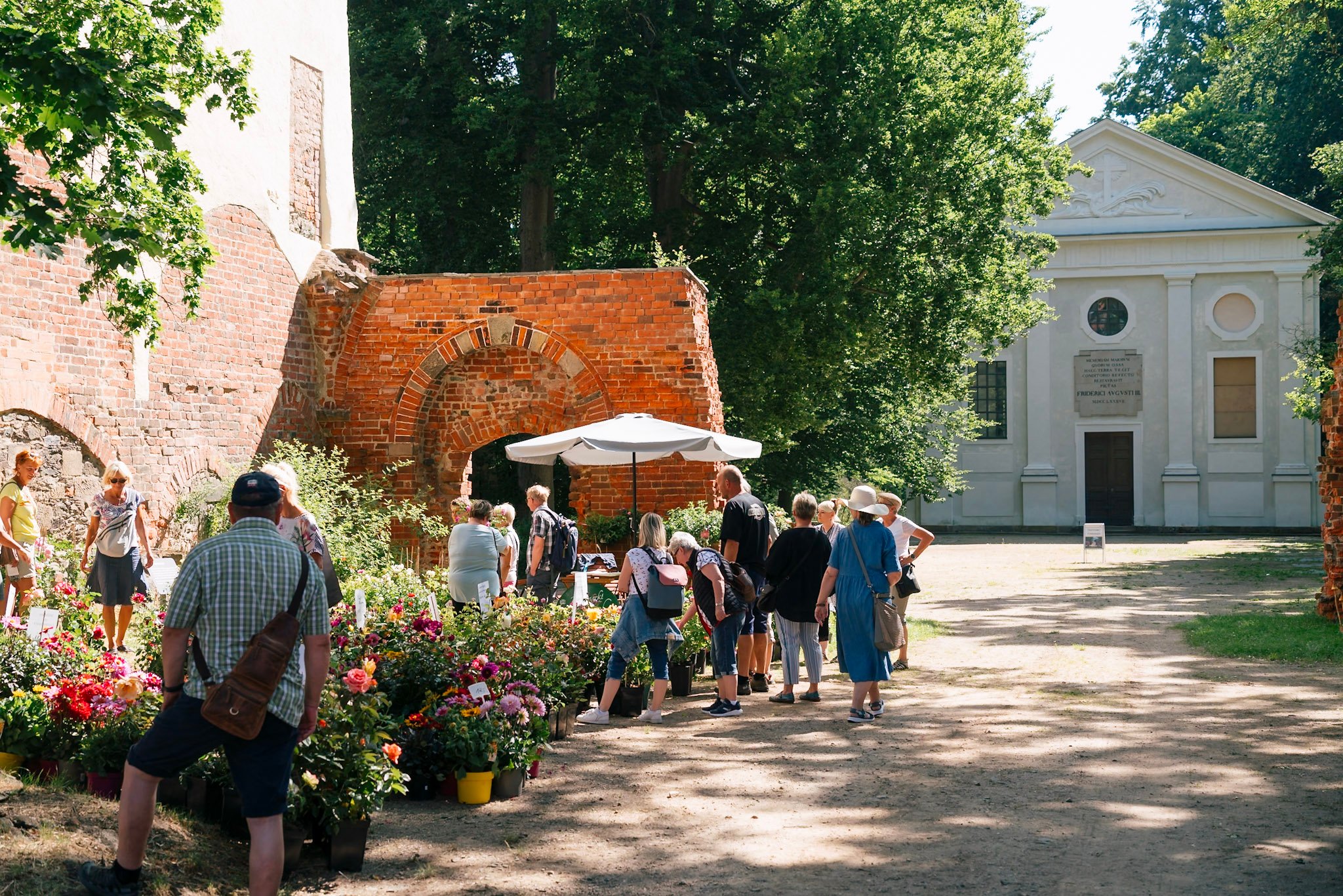 27-Blumen-Gartenschau-ALT-2025©Schlösserland-Sachsen-Alexander-Gentzel-1460