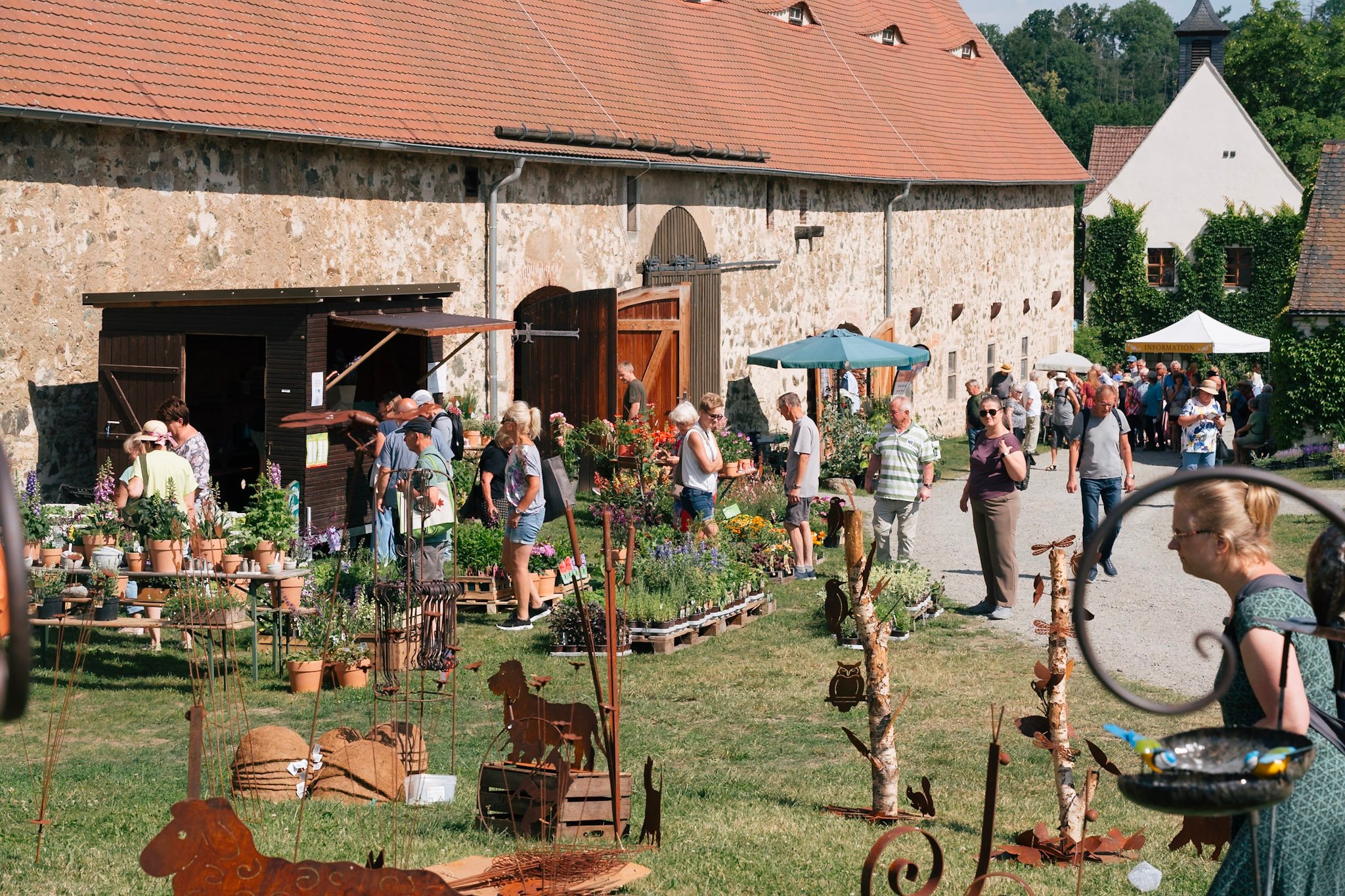 31-Blumen-Gartenschau-ALT-2025©Schlösserland-Sachsen-Alexander-Gentzel-1476