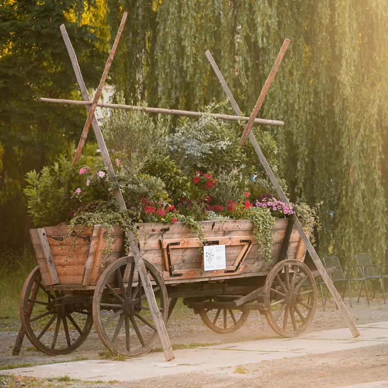 ALT_BGS_AlexGentzel_800x800 (4)