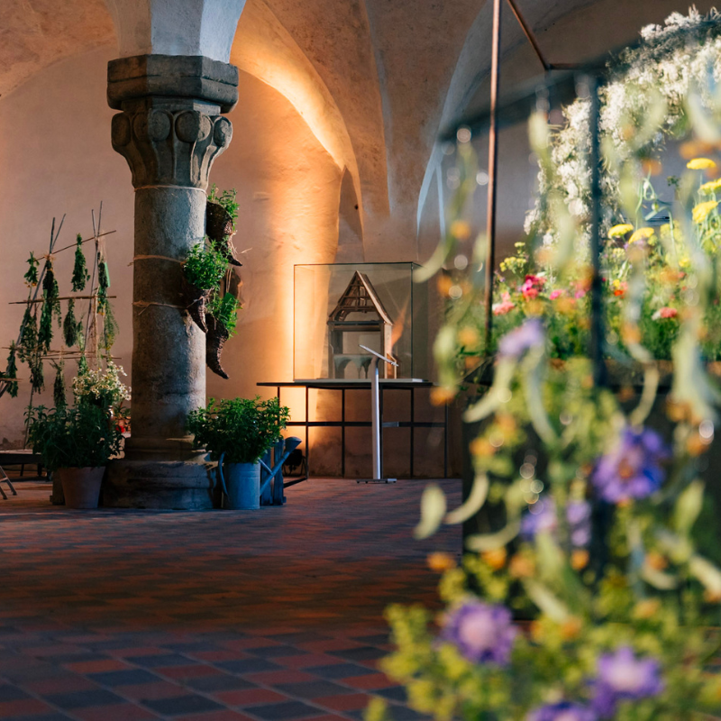 ALT_BGS_AlexGentzel_800x800 (5)