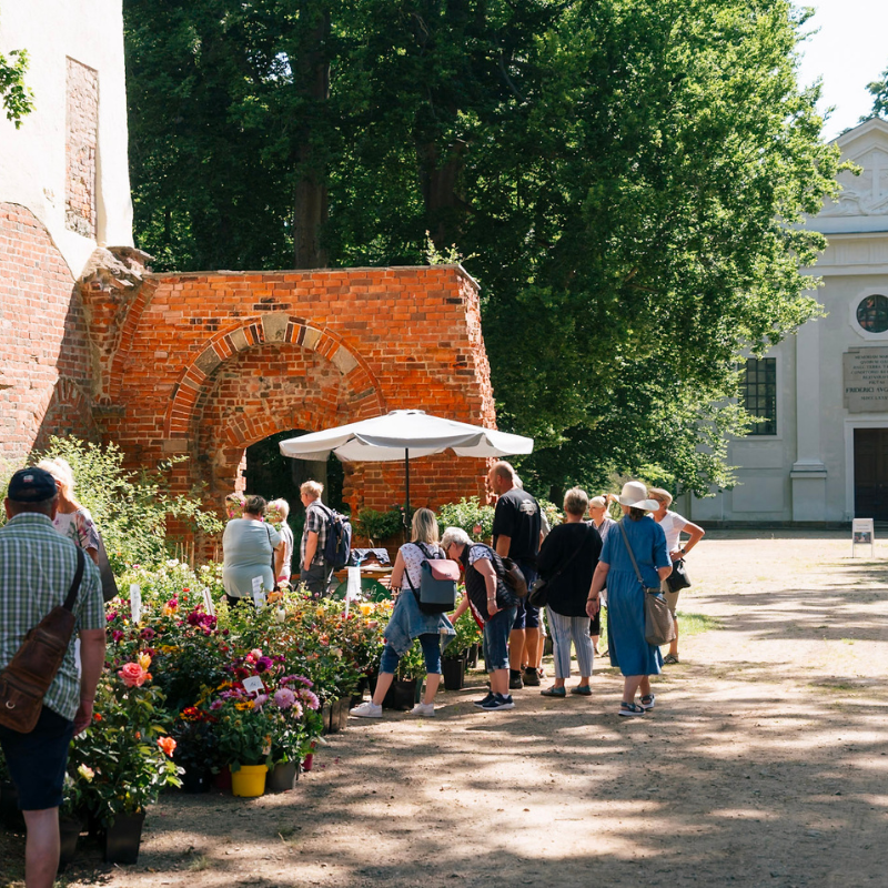 ALT_BGS_AlexGentzel_800x800 (6)