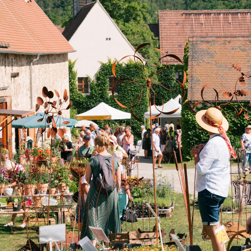 ALT_BGS_AlexGentzel_800x800 (8)