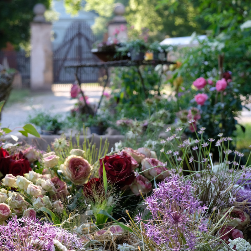 ALT_BGS_JulianeSchikade800x800 (2)