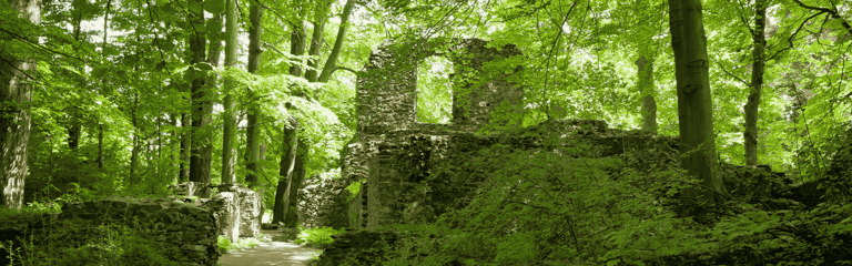 25-Detox-Header-1920x600
