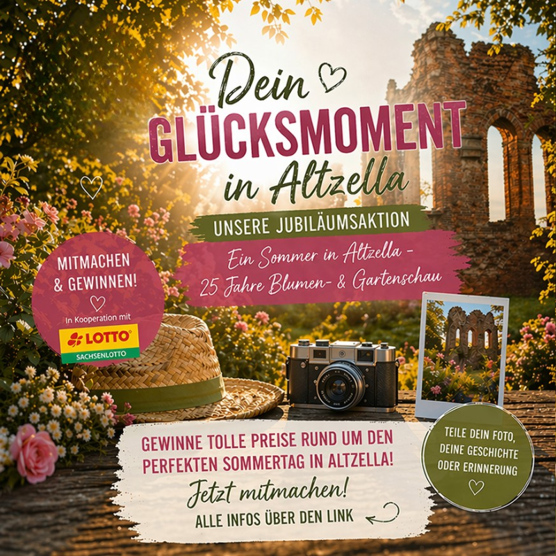 Gewinnspiel (800x800)